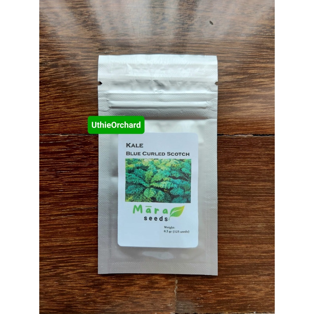 Mara Seeds - Kale Curly (Keriting) Blue Curled Scotch (125 Seeds)