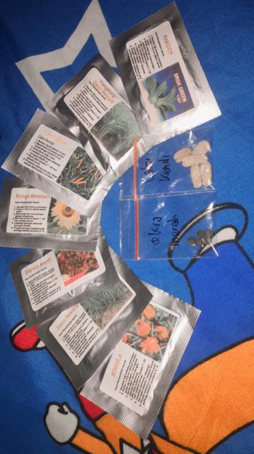 Benih Bayam Merah, Jual Benih Bayam Merah Murah Enak Dimakan