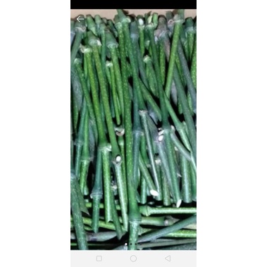 

melada stek 100 batang+bonus bisa COD.sebelum order wajib chat penjual