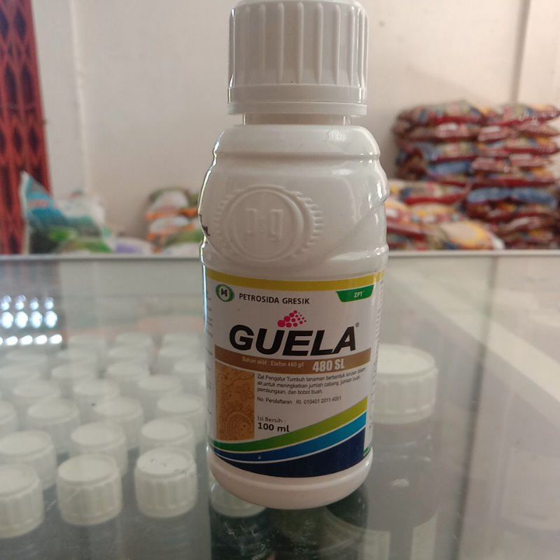 zpt guela 480 SL kemasan 100ml