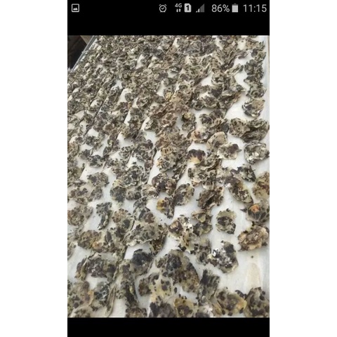 

kripik tike mentah (1 kg)