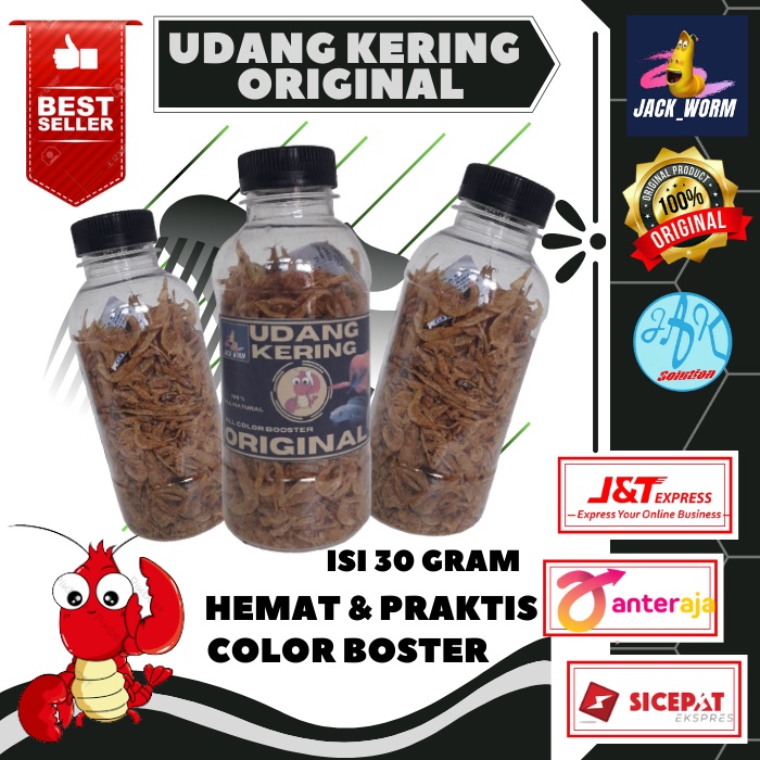 Udang Kering Original Pakan Ikan Channa Maru Yellow Sentarum Auranti Limbata Pulchra Oscar Tiger Bat