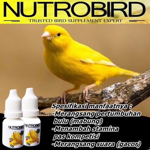 NUTROBIRD CANARY vitamin burung kenari gacor suplemen lomba burung obat penggacor burung kenari