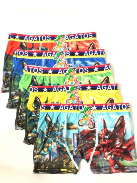 Cd boxer anak agatos