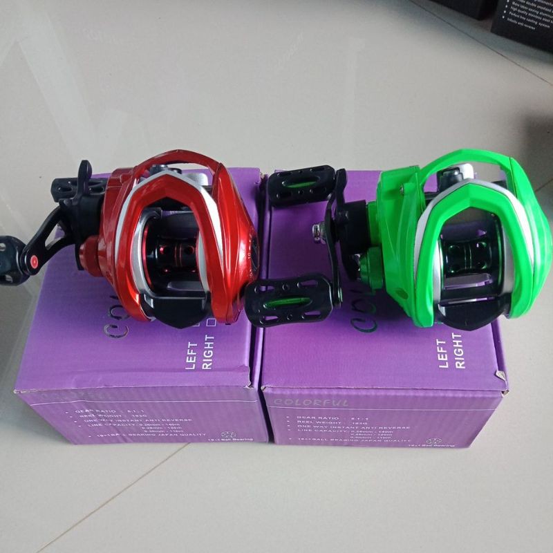 rell bc lizard colorful