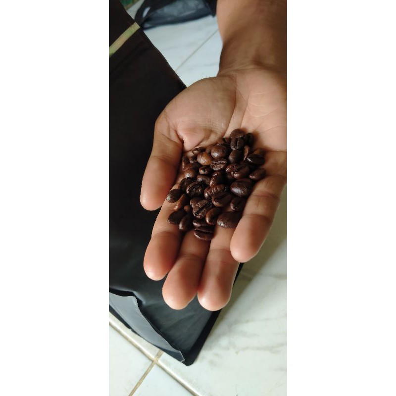 

Roast Bean Robusta Gayo / kopi biji Robusta Gayo 250g