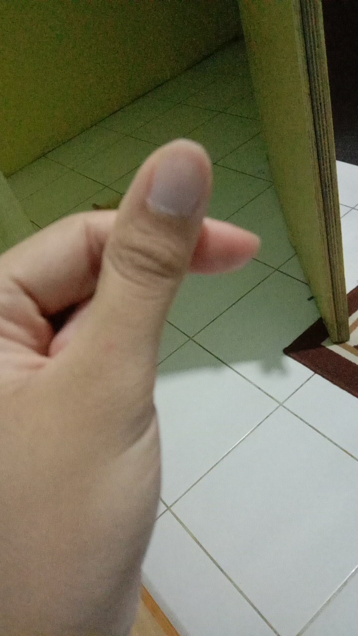 Set Peralatan Makan Gandum 3 In 1 (ada Kotak)