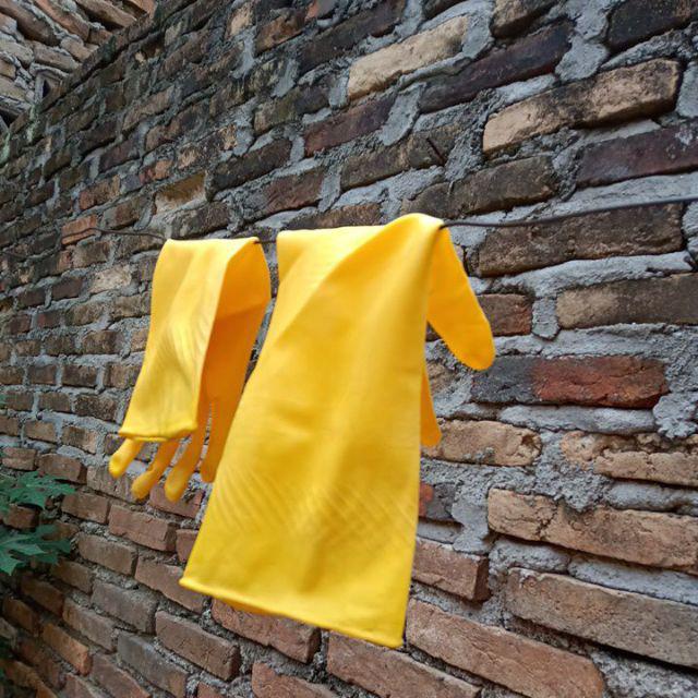 Sarung Tangan Karet Latex