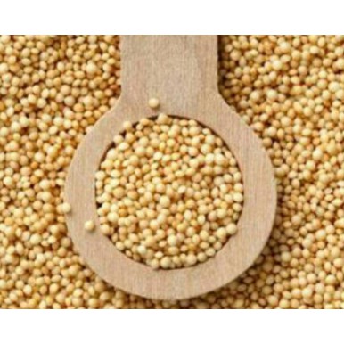 

Organic Amaranth Grain 250 Gram