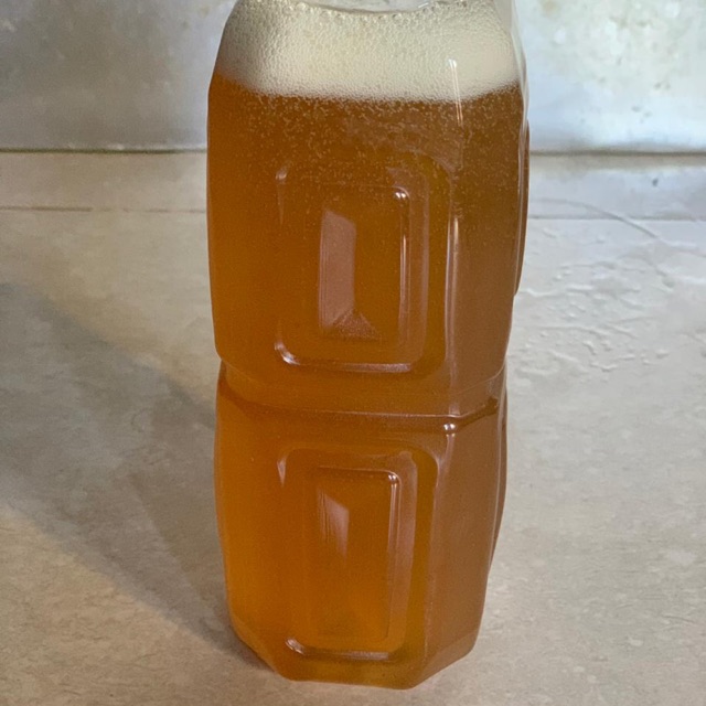 

Madu Morringga Asli