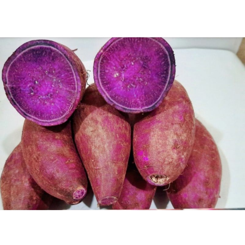 

Hasil Bhumi Ubi Ungu 1 kg Murasaki untuk Diet