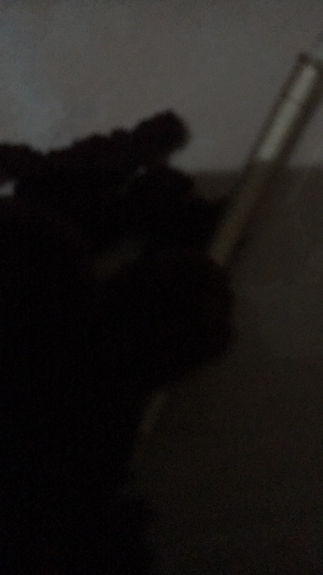 Freypv 7786 Slimfit Long Batik Black Floral Colourfull M-xl Kemeja Batik