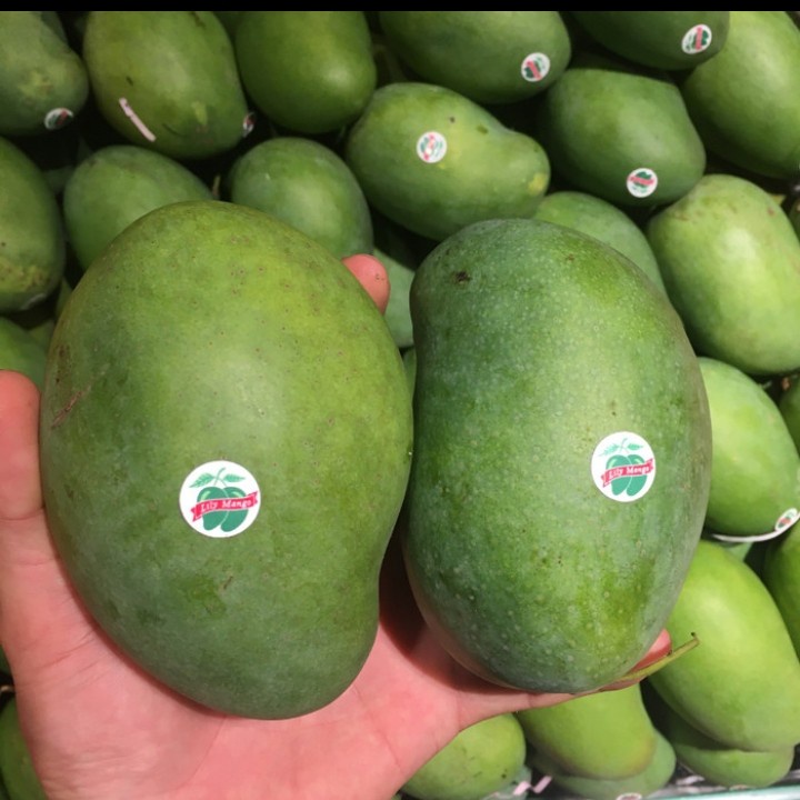 

Mangga Lily Matang Suluhan Surabaya 1 kg