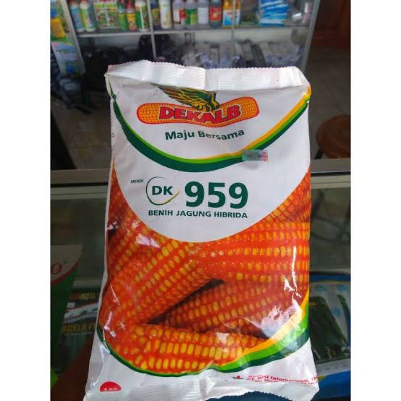 JAGUNG HIBRIDA DK 959