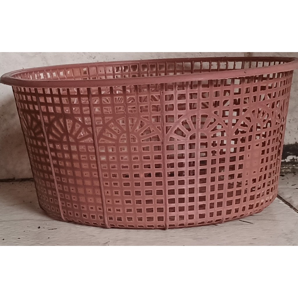 

WAKUL TELOR KECIL SP/10PCS
