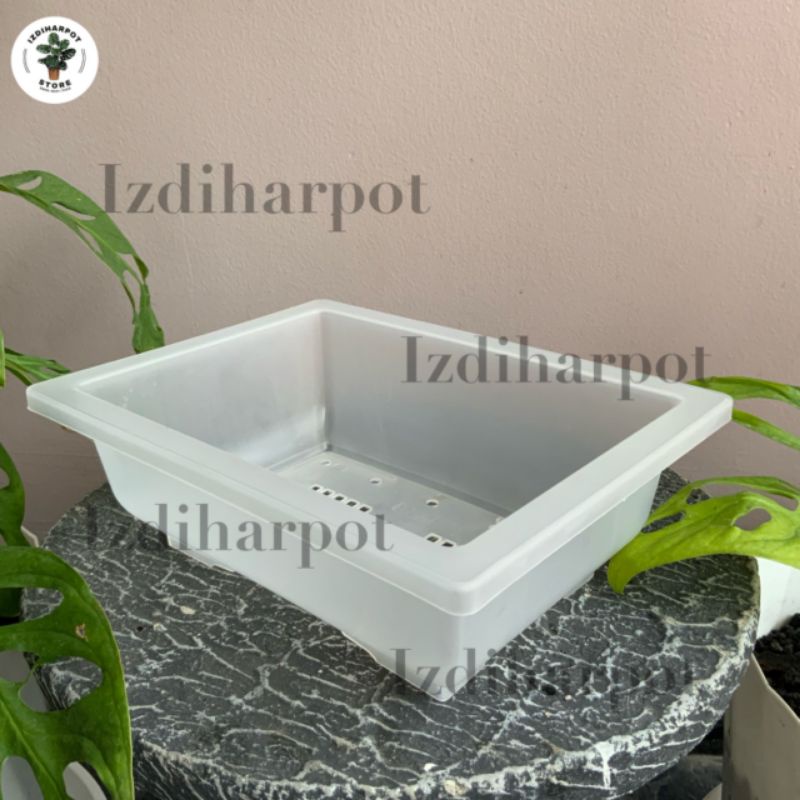 pot bunga tanaman ceper NKT BONSAI BENING TRANSPARAN - NKT BONSAI 01