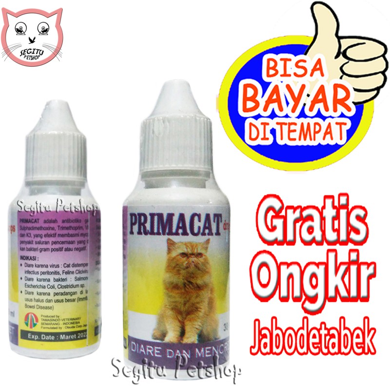 Obat Diare Mencret Kucing