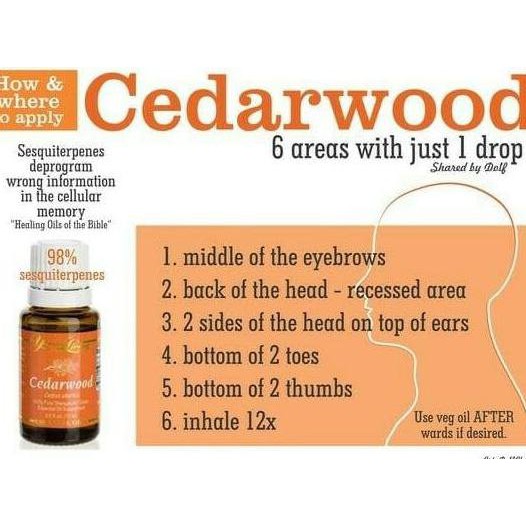 Cedarwood 15Ml Yl Young Living Essential Oil Yleo Monica.Official.Id