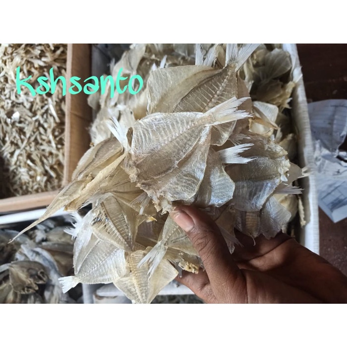 

Q12 Ikan Asin Kapasan Pakang Kering 1Kg Dw51qs