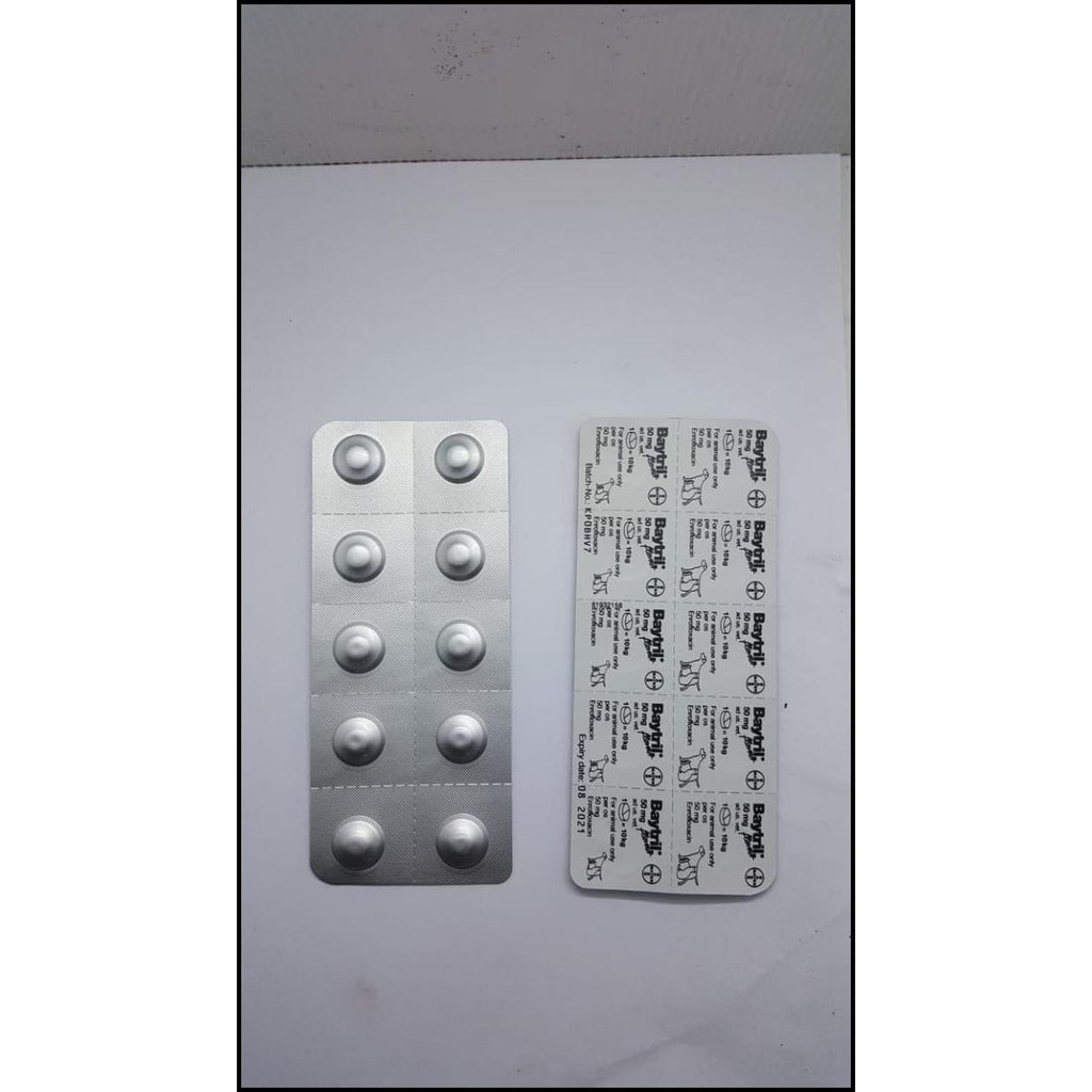 Baytril Flavour Tablet 50Mg - Antibiotik Anjing Kucing