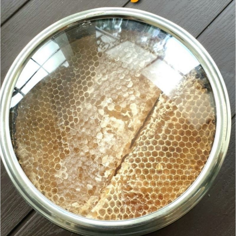 

Madu Sarang Asli Yaman Marai Mara'i JABUH/KHALAYA Original 100% Shahr Aleasal 1,1 Kg