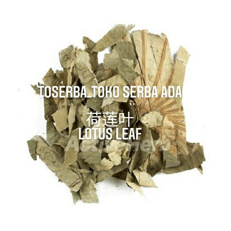 

100gr Herbal He Lian Ye 荷莲叶 Lotus Leaf Premium Grade