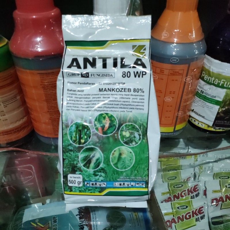 ANTILA 80WP 500GR - FUNGISIDA
