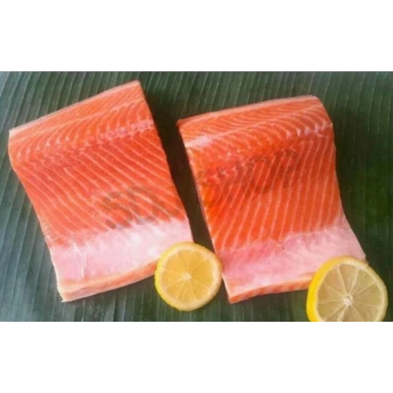 

Fresh Salmon Norwegian TROUT