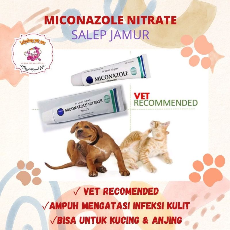 MICONAZOLE NITRATE SALEP JAMUR