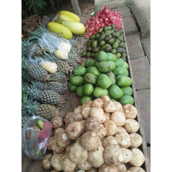 

Paket rujakan komplit