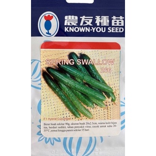 TIMUN SPRING SWALLOW benih bibit timun jepang f1 unggul known you seed