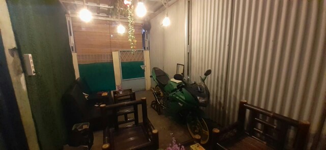 Daun Rambat Sri Gading 2m Dekorasi Home