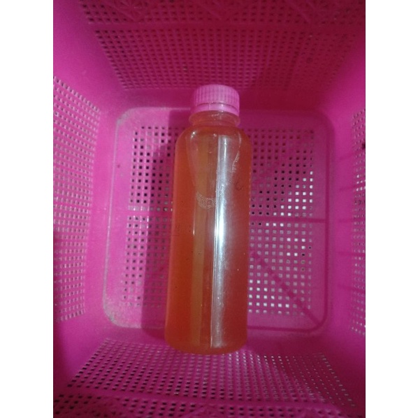 

Kombucha tea fermentasi teh probiotik drink 250ml