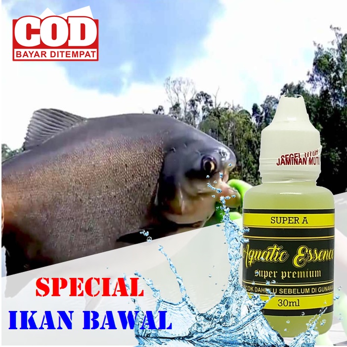 ESSEN IKAN BAWAL GALATAMA BABON - KHUSUS IKAN BAWAL ISI 30 ML
