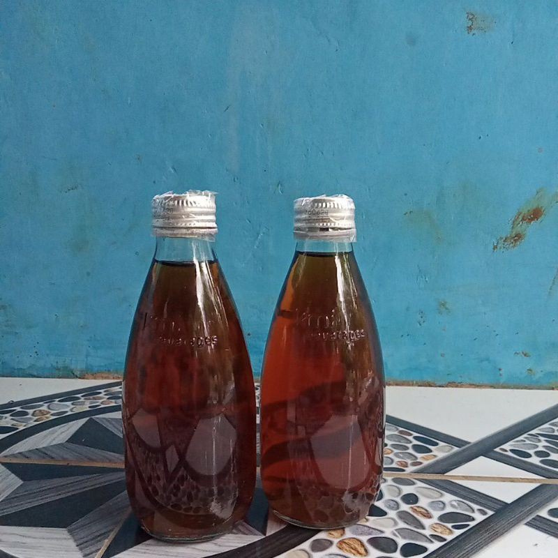 

RAMUAN DAUN KETAPANG