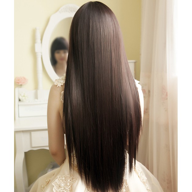 Wig Wanita Rambut Panjang Natural Long Straight Hair Extension Korean Version