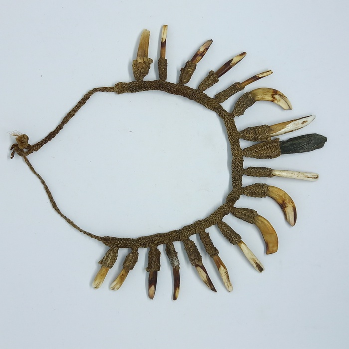 Kalung Taring dan Gigi Babi Suku Dani Papua