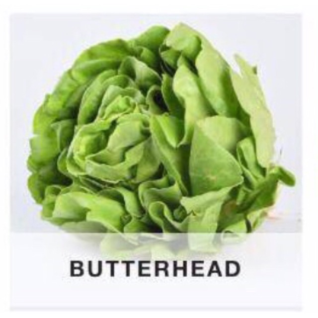 

Butterhead