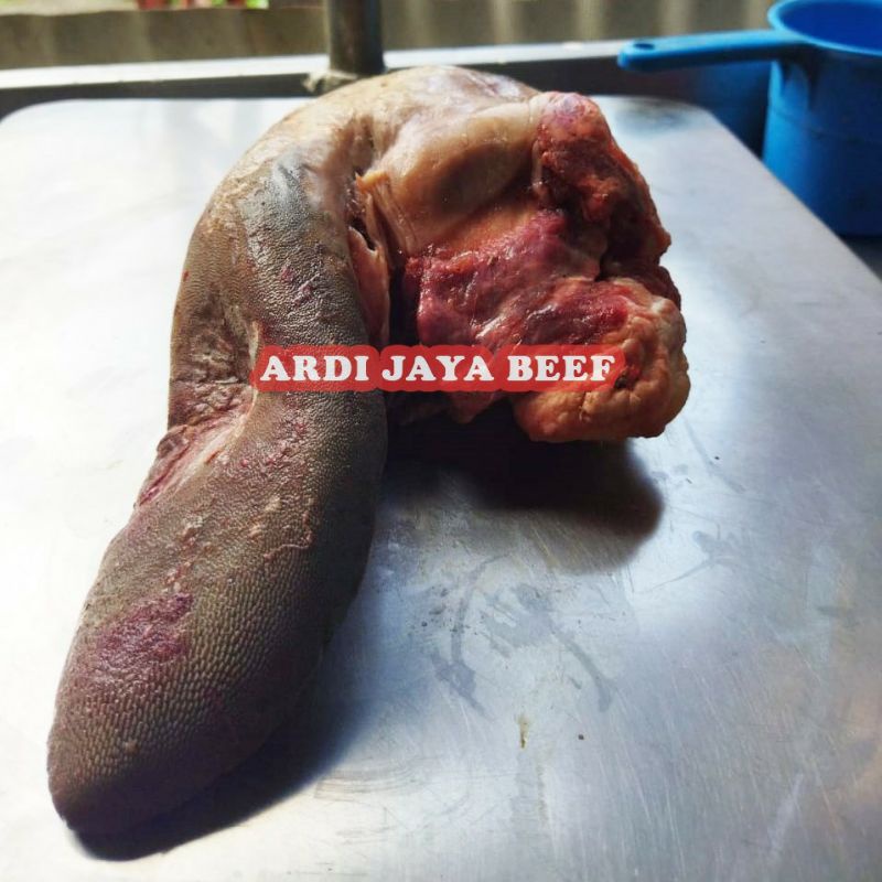 

lidah sapi 1 kg bagus