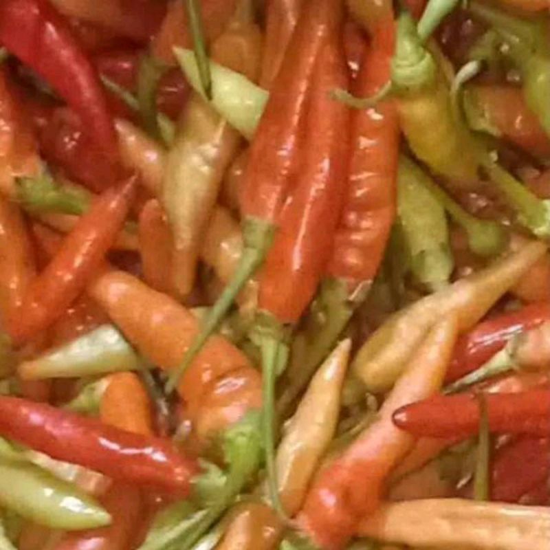 

Cabe rawit caplak 250 gram