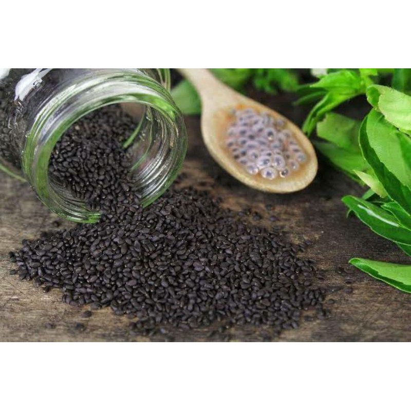 

Selasih/Ocimum basilicum