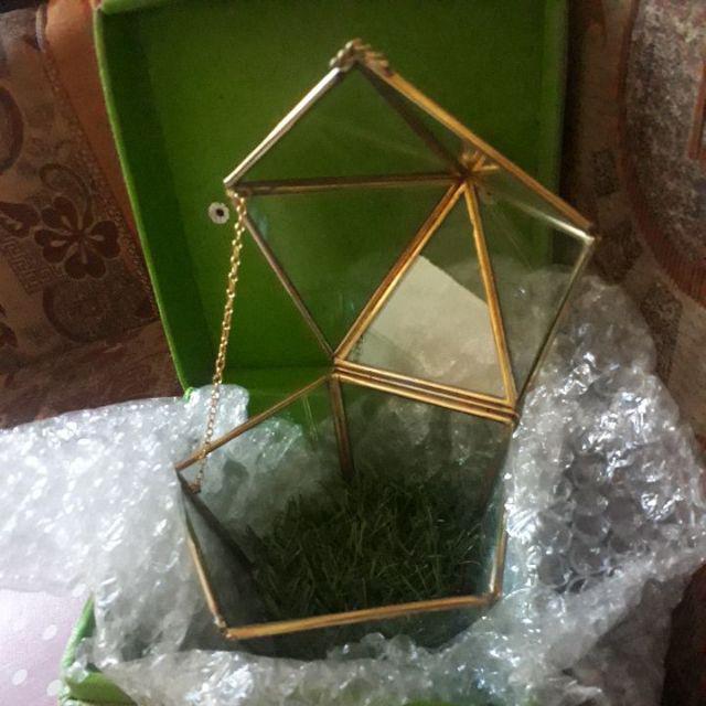 Tempat Cincin Terrarium