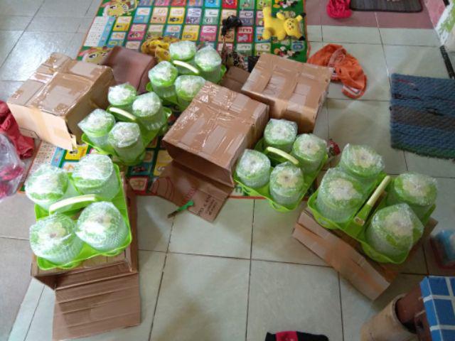 Rantang Piknik Pink Susun 2 Golden Lemon Rps 160-2 New