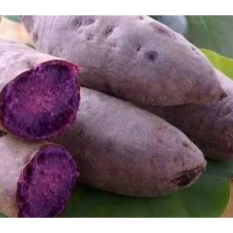 

Ubi Ungu / 1kg