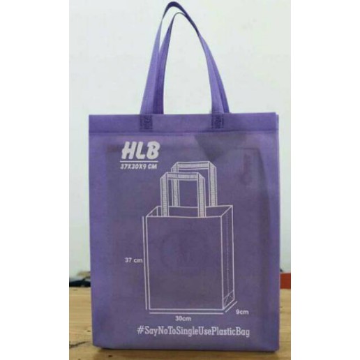 

Tas Goodie Bag Spunbond 373009