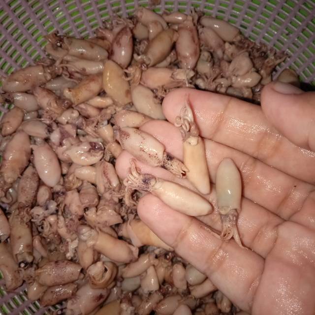 

Sambak