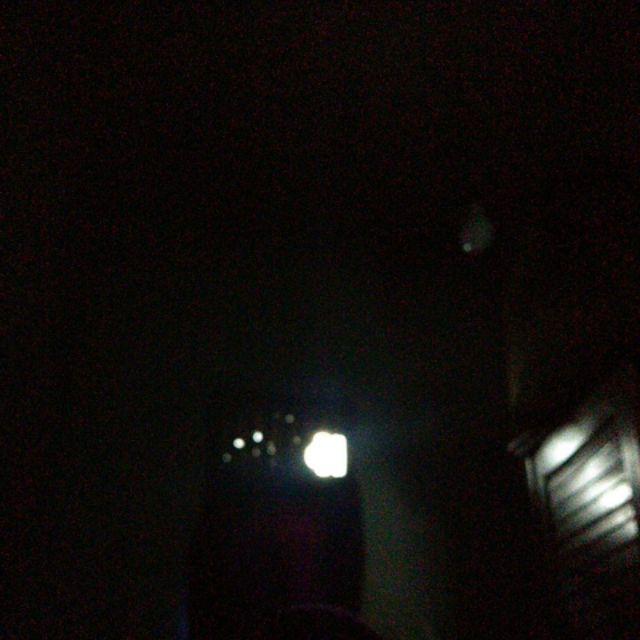 Benih Labu Baby Kabocha Pumpkin - Biji Bibit Buah