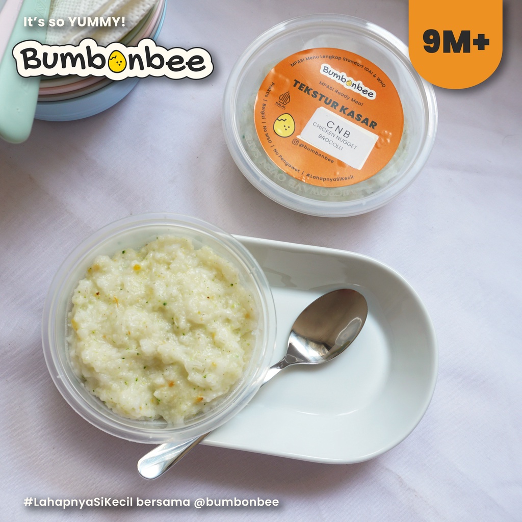 BUBUR MPASI 6-12 BULAN READY/ BUBUR MPASI HOMEMADE/MPASI MENU LENGKAP