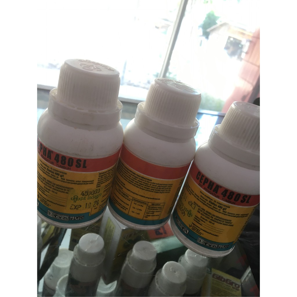 Cepha 480 SL - 100 ml