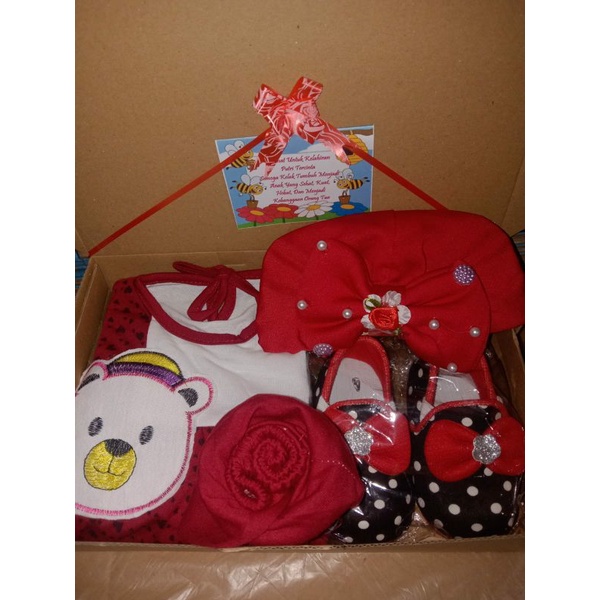 Kado Bayi Baru Lahir / Parsel sambang bayi-Girl maroon